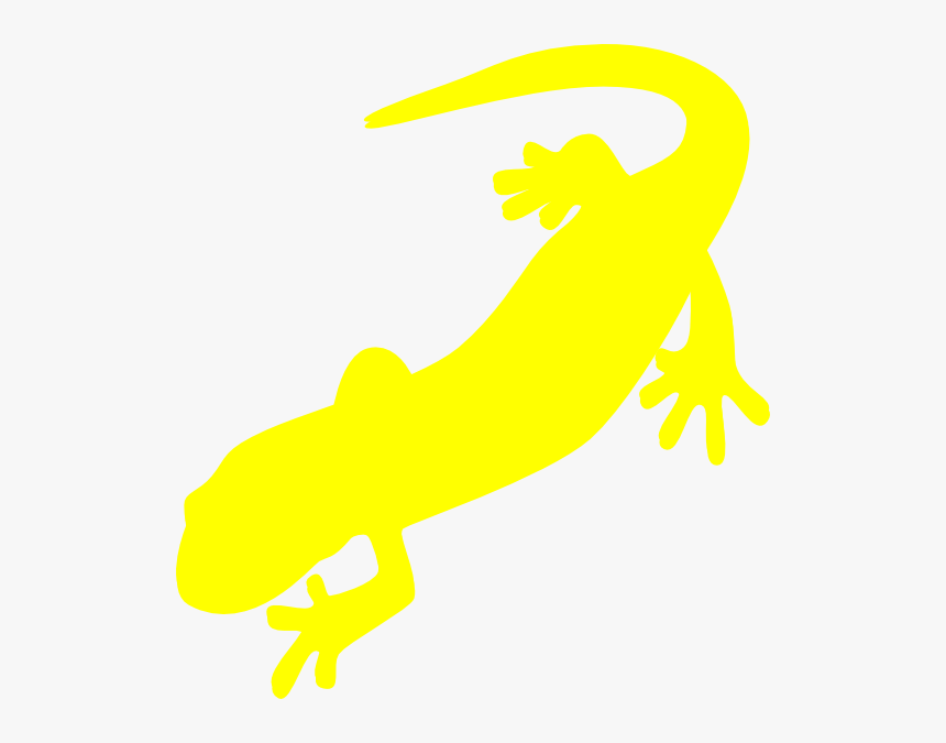 Salamander Png, Transparent Png
