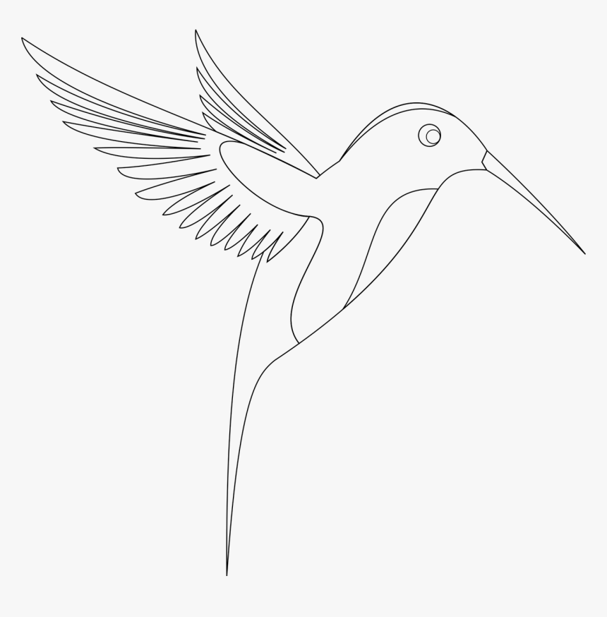 Sketch Bird Transprent Png, Transparent Png