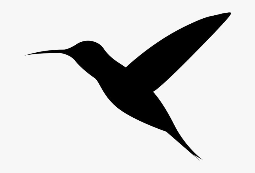 Cute Hummingbird Png Full Hd, Transparent Png