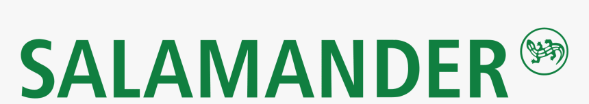 Salamander In Russia, HD Png Download