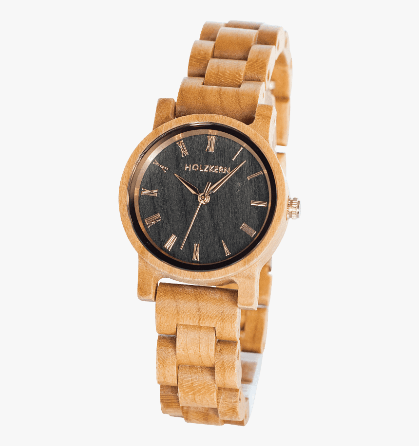 Salamander Png, Transparent Png