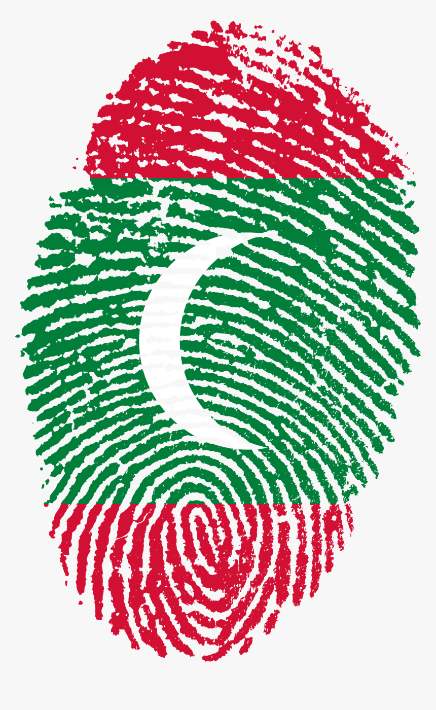 Guyana Flag Png, Transparent Png