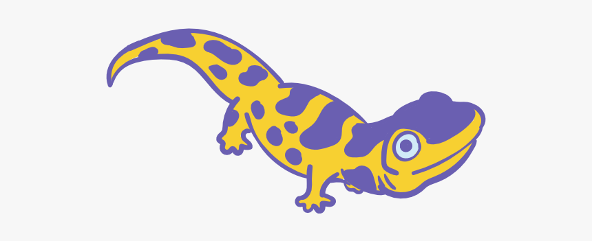 The Amphibian, HD Png Download