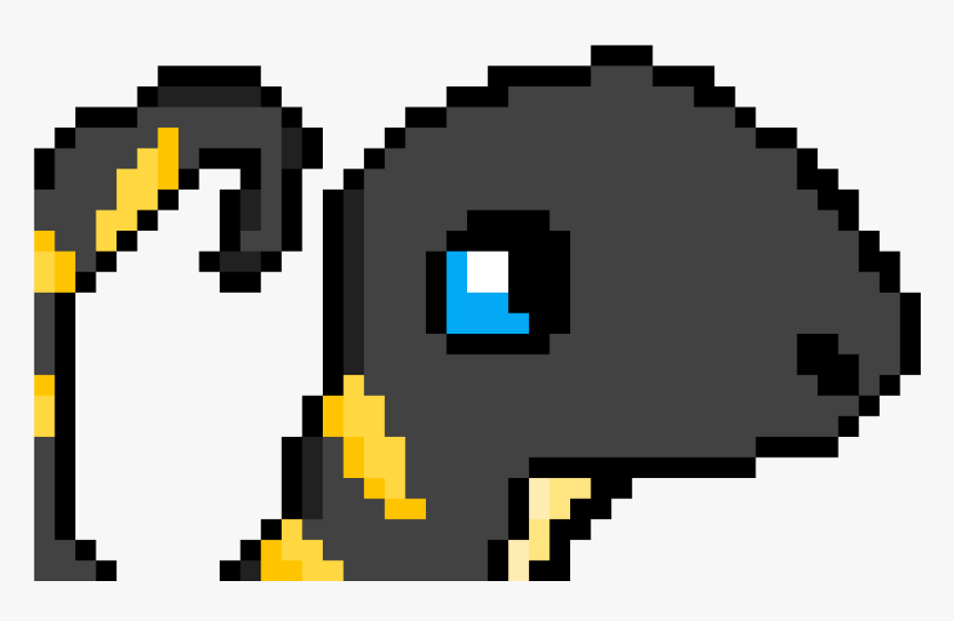 Salamander Png, Transparent Png