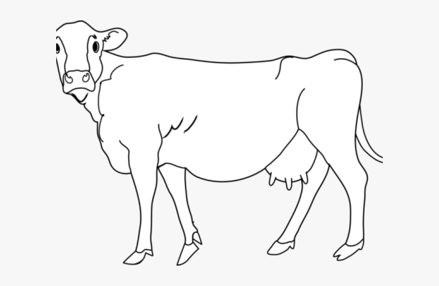 Cattle Clipart Cowblack - Clip Art, HD Png Download