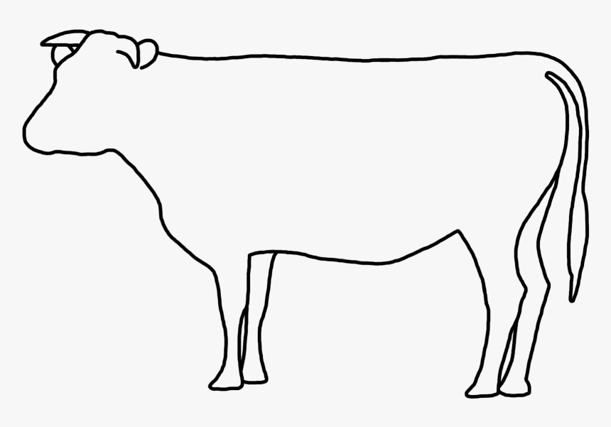 Korean Cuts Of Beef 1 - Korean Cuts Of Beef, HD Png Download