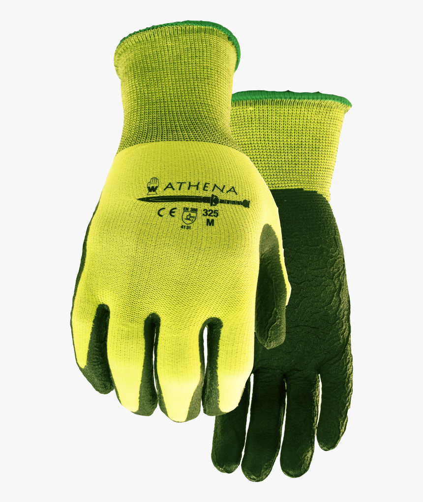 Hand, HD Png Download