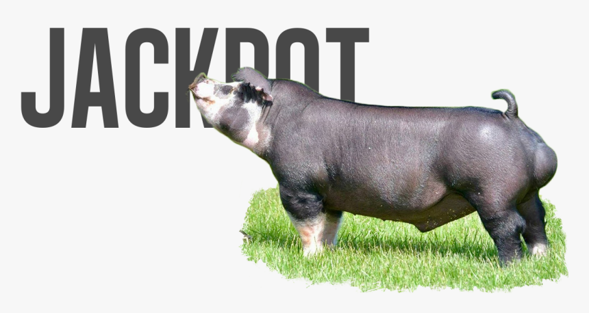 Patriot Day, HD Png Download