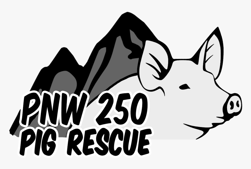 Vouzwr8w - Cartoon, HD Png Download