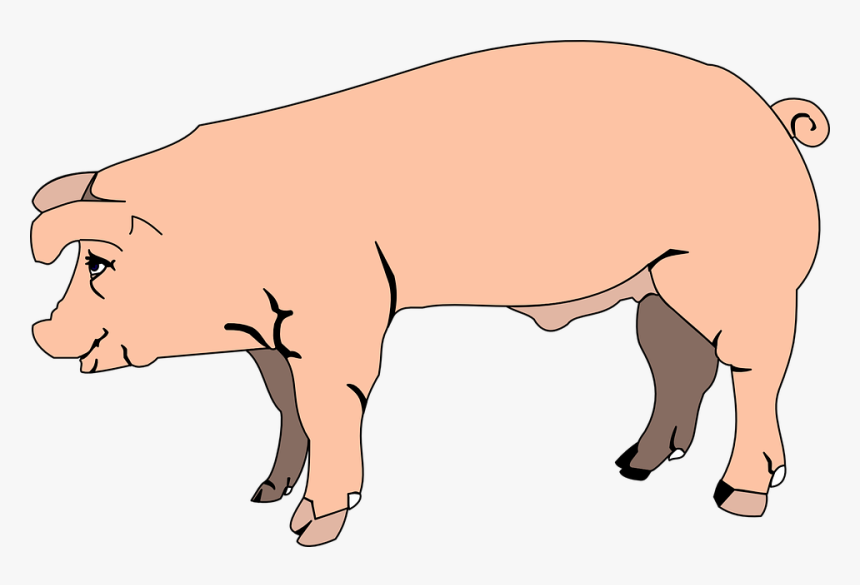 Pink, Pig, View, Barn, Farm, Side, Animal - Hog Clipart, HD Png Download