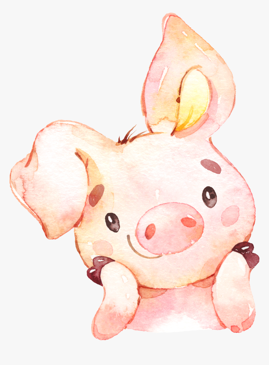 Teacup Pigs, Pig Drawing, Pig Illustration, Pig Art,, HD Png Download