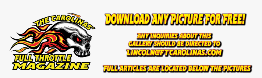 Cat, HD Png Download