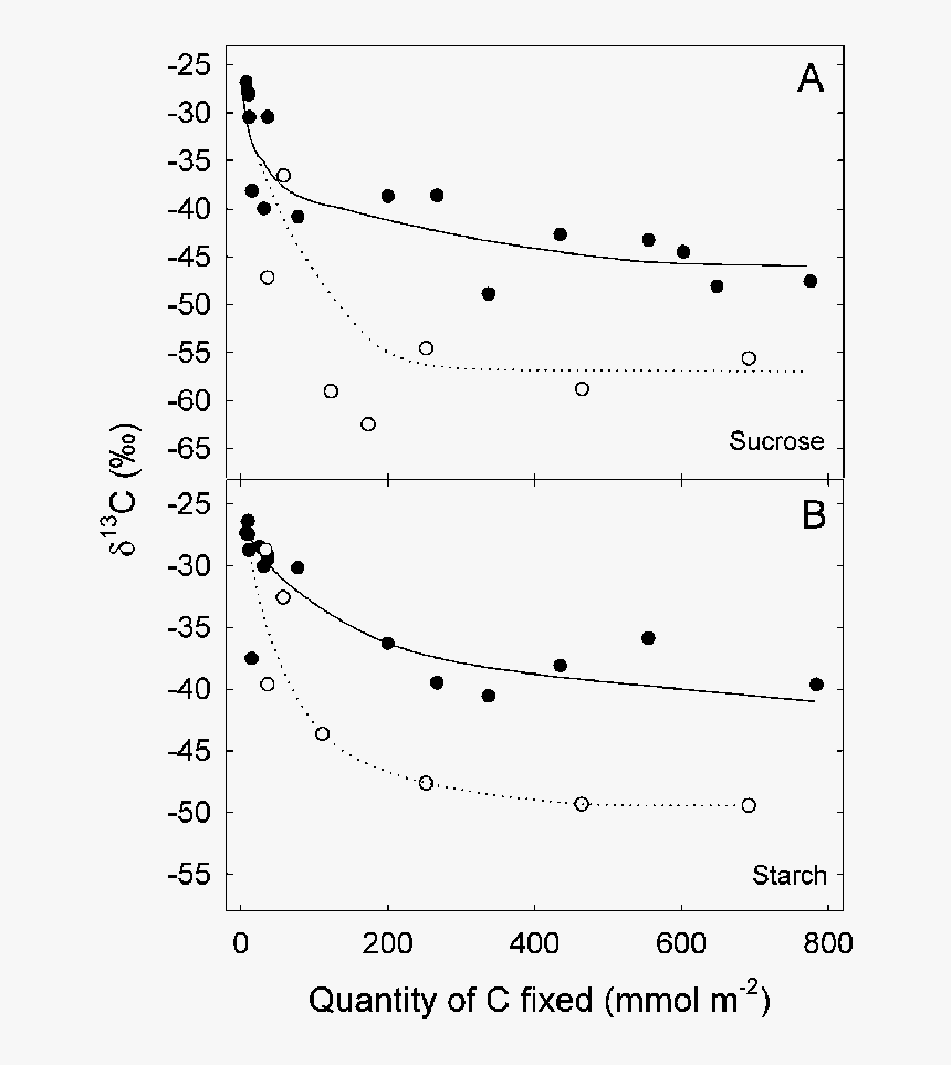 Diagram, HD Png Download