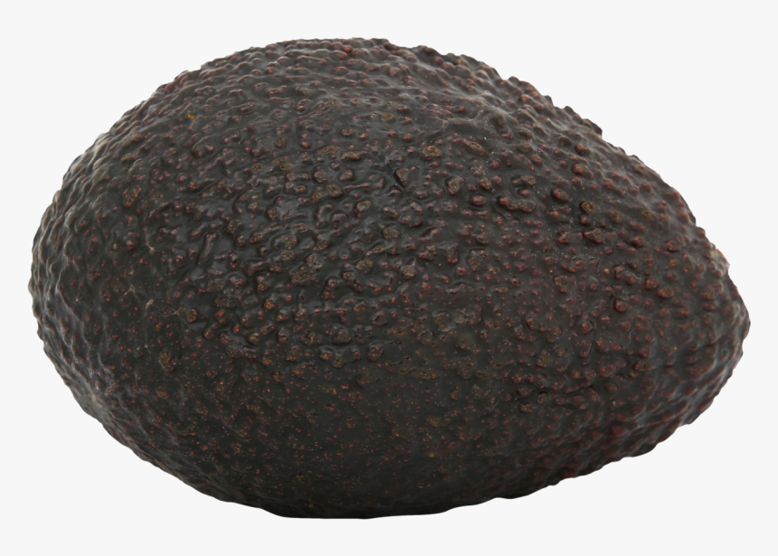 Avocado Png - Avocado, Transparent Png