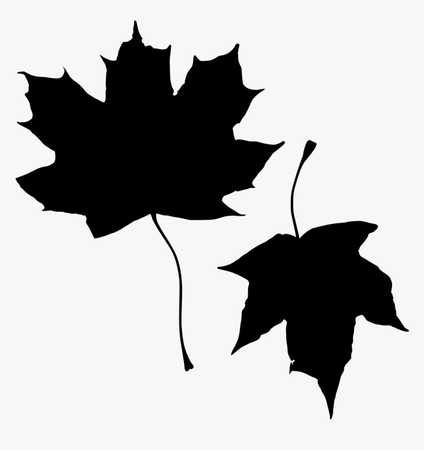 Klevo Lapai Png, Transparent Png