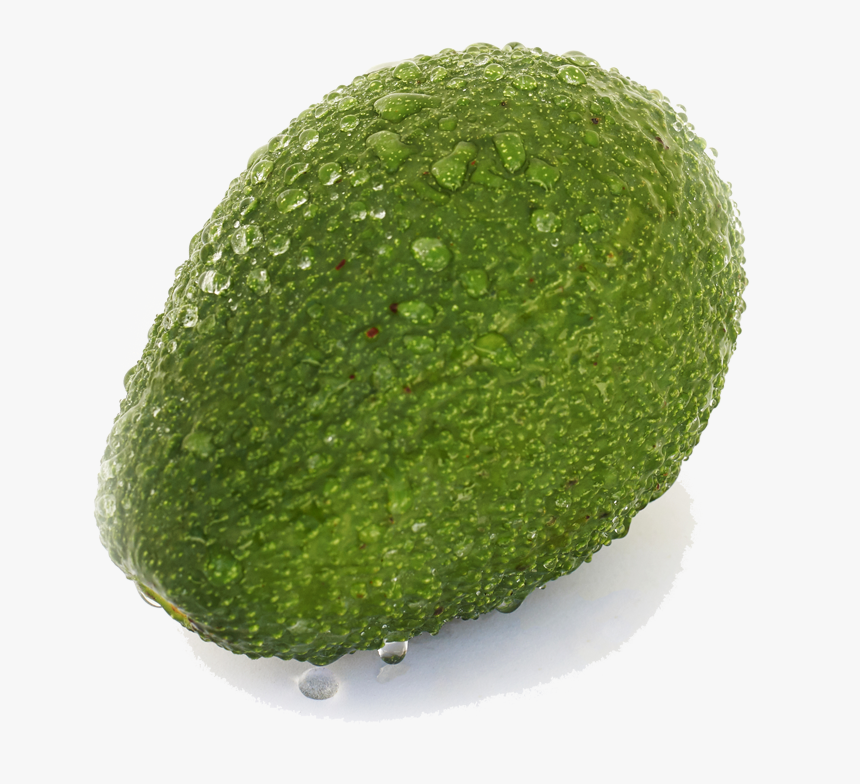 Persian Lime , Png Download - Seedless Fruit, Transparent Png