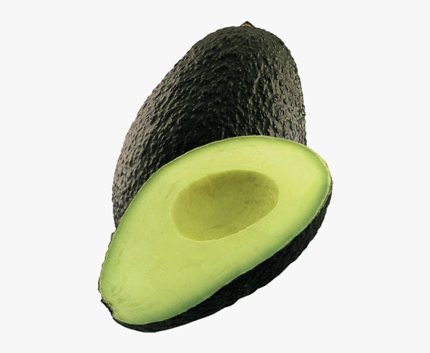 Avocado,plant - Paltas Subsole, HD Png Download