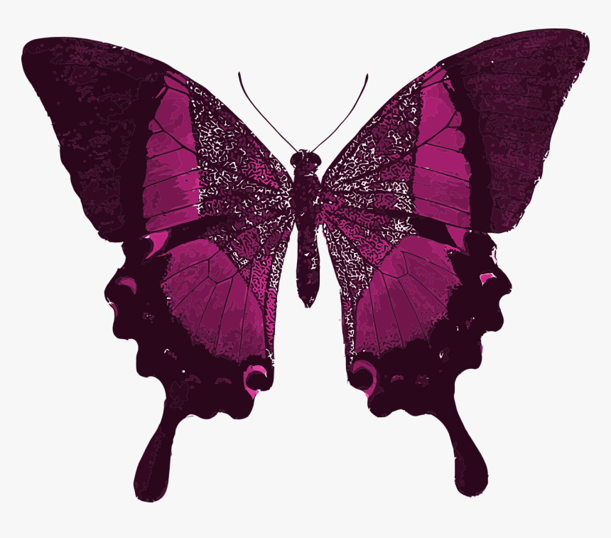 Your Time As A Caterpillar Has Expired Quote, HD Png Download