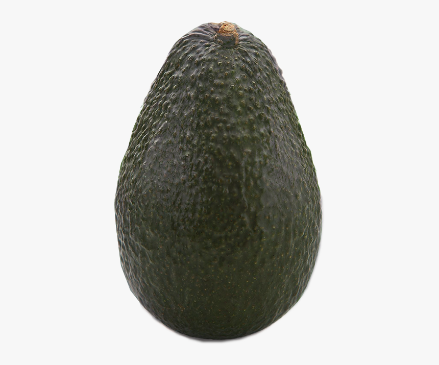 Avocado, HD Png Download