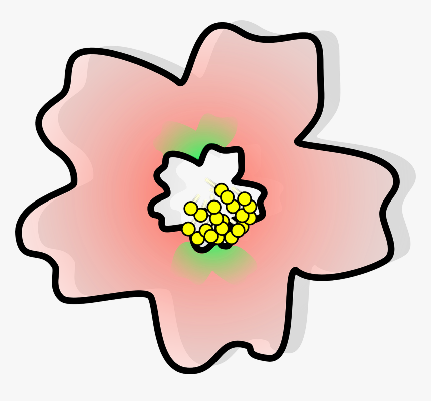 Cherry Blossom, HD Png Download