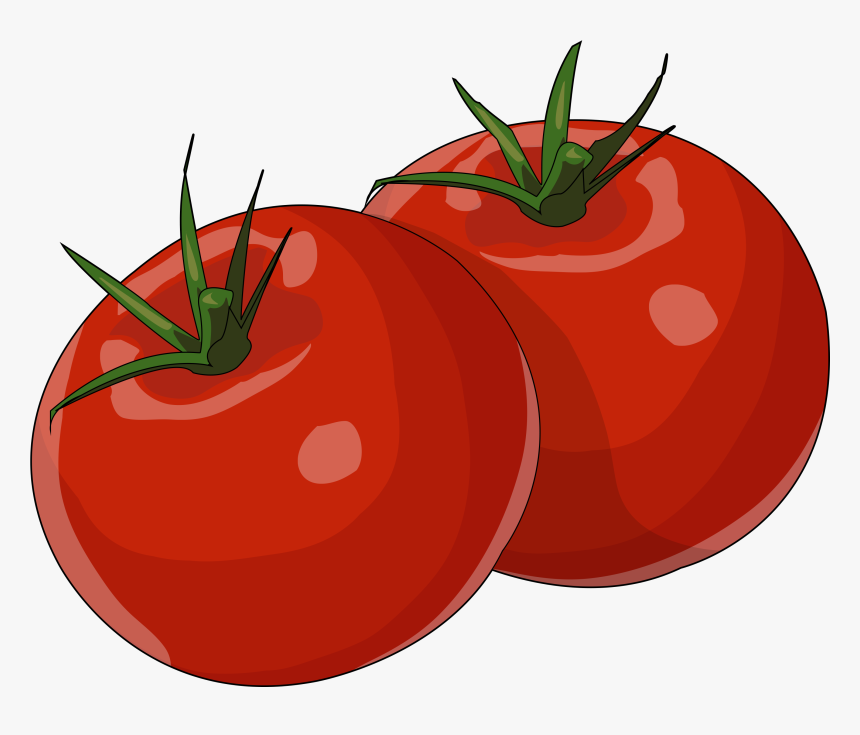 Tomate Png , Png Download - Tomate Png, Transparent Png