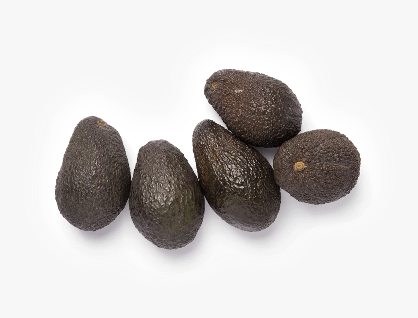 Avocado, HD Png Download