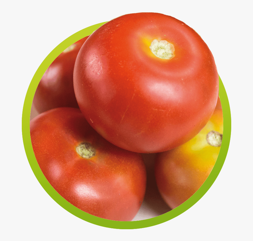 Plum Tomato, HD Png Download