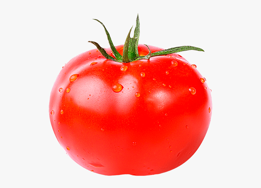 Tomato Fruit Or Vegetable Meme, HD Png Download , Transparent Png Image