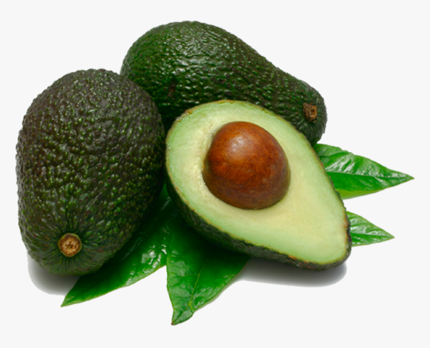 Avocado, HD Png Download