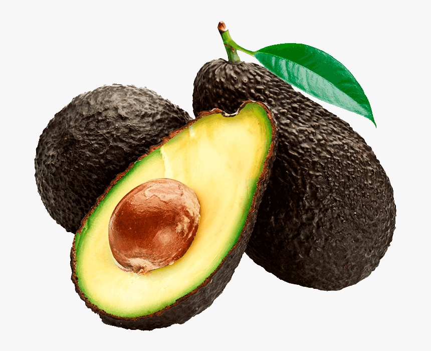 Imagen De La Palta Hass, HD Png Download