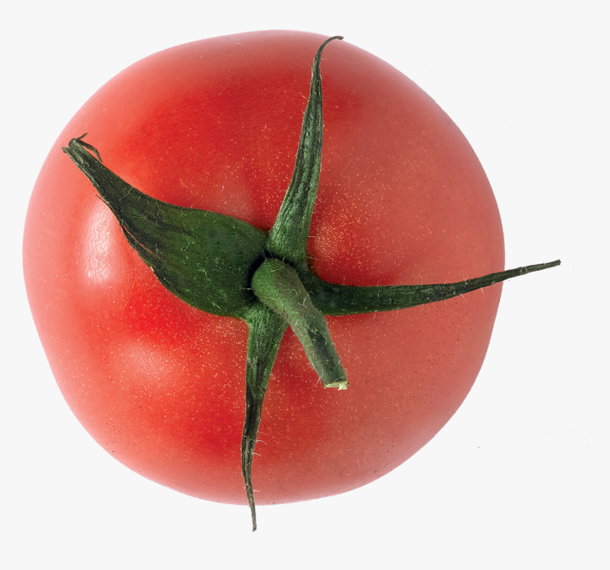 Tomate - Plum Tomato, HD Png Download