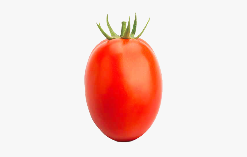 Plum Tomato, HD Png Download