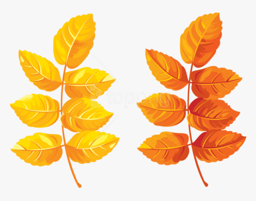 Free Png Download Fall Leaves Clipart Png Photo Png - Yellow Orange Leaf Clipart, Transparent Png
