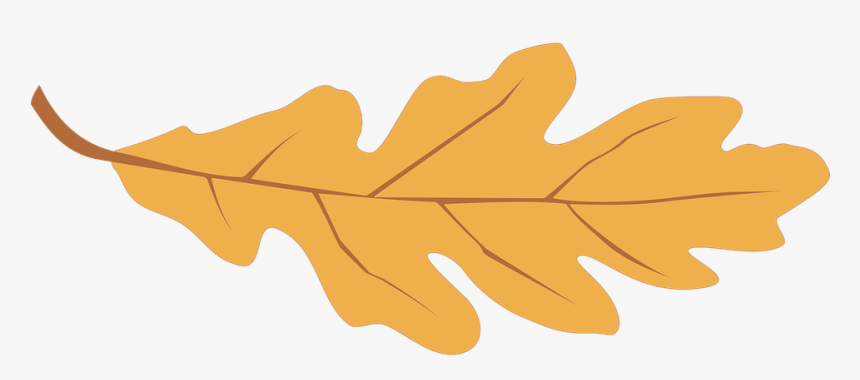 Oak, Leaf, Falling, Fall, Leaves, HD Png Download