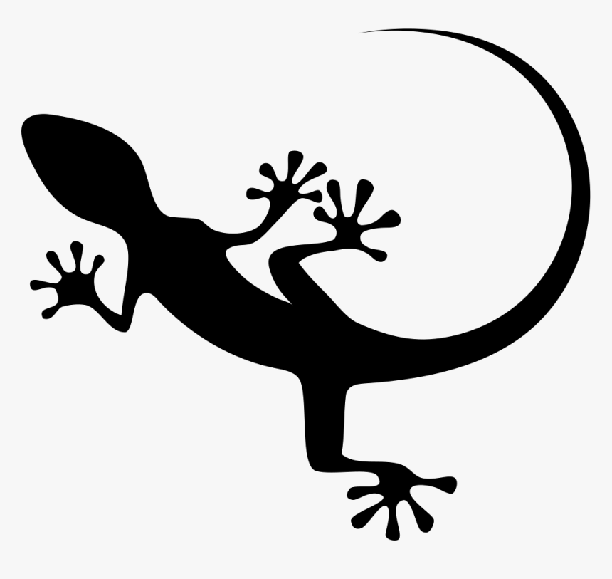 Gecko Top View Shape - Lizard Icon Png, Transparent Png