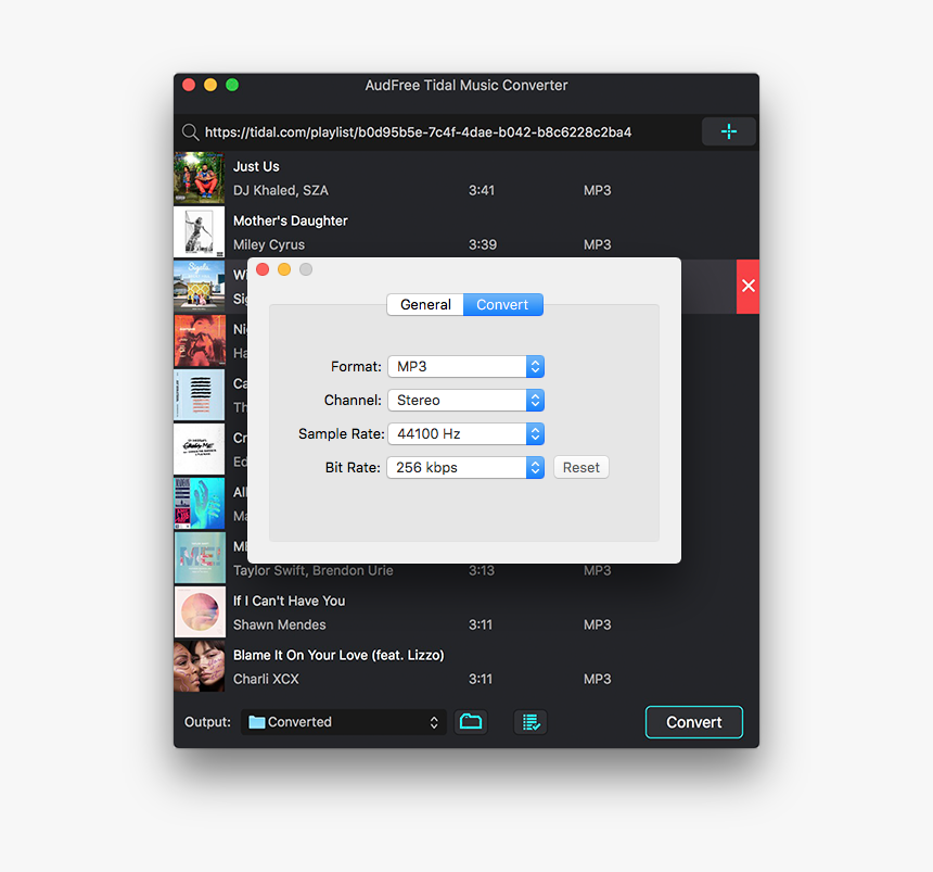 Set Tidal Output Format For Imovie - Audfree Tidal Music Converter, HD Png Download