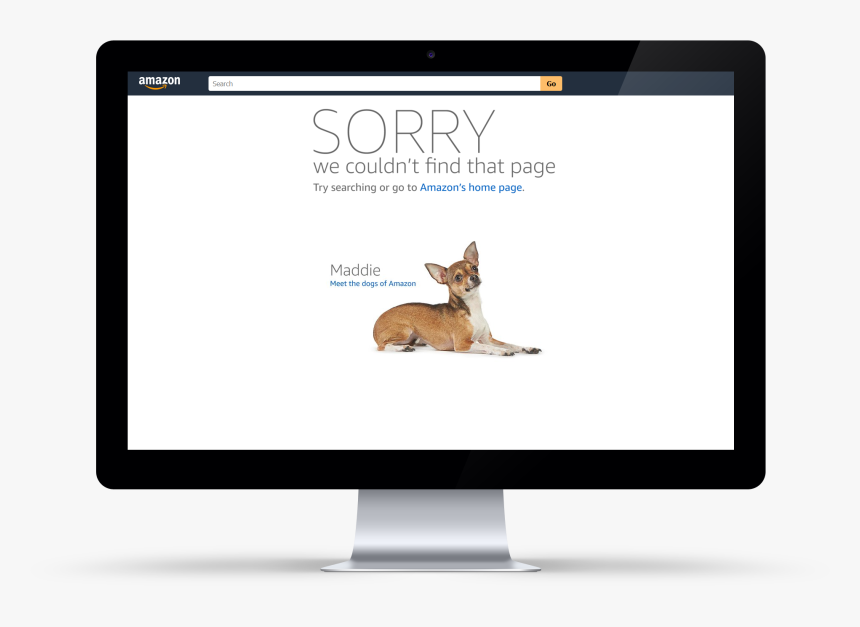 404 Error Page Design Showcase - Roe Deer, HD Png Download