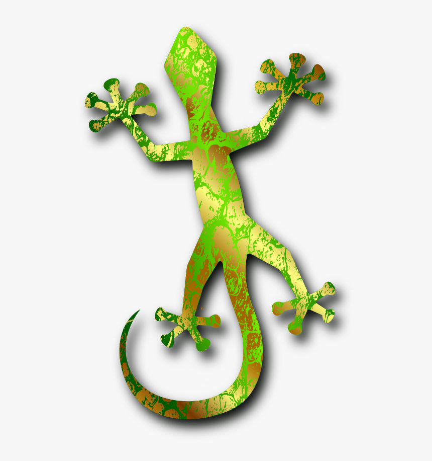 Gecko 3 By Merlin 2525 555px - Gecko Image Transparent, HD Png Download