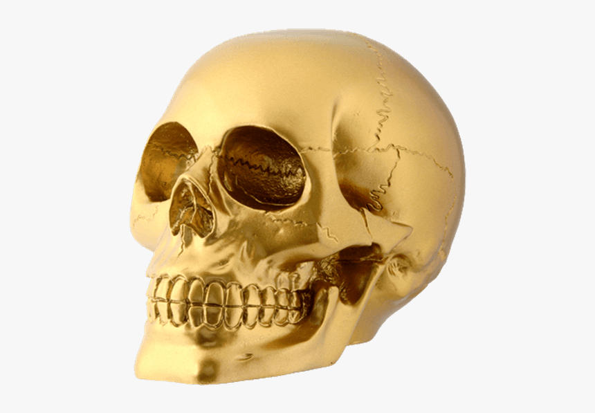 Skull Face Png, Transparent Png