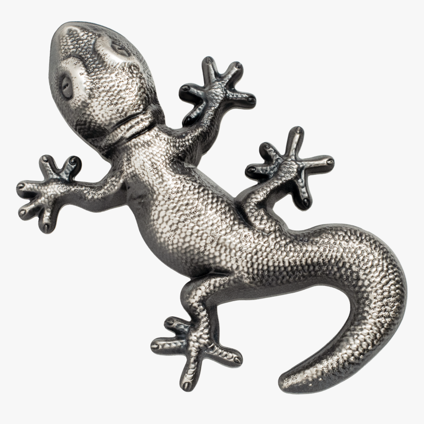 Gecko Silver Palau, HD Png Download
