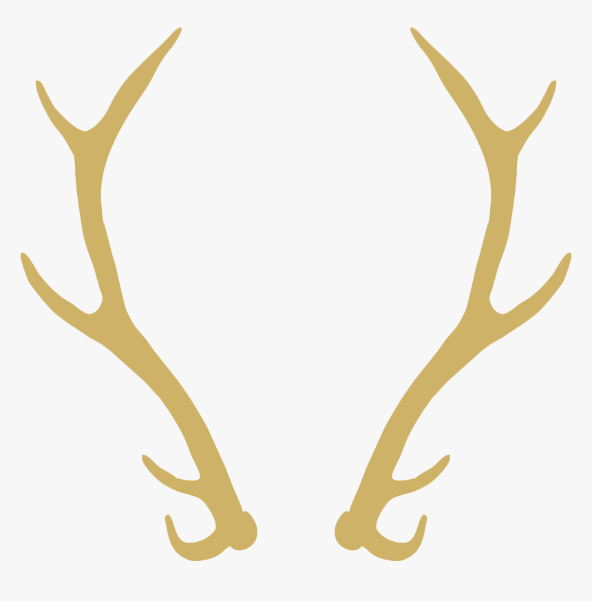 Image Transparent Download Wedding Invitation Wreath - Transparent Background Deer Antlers Clipart, HD Png Download
