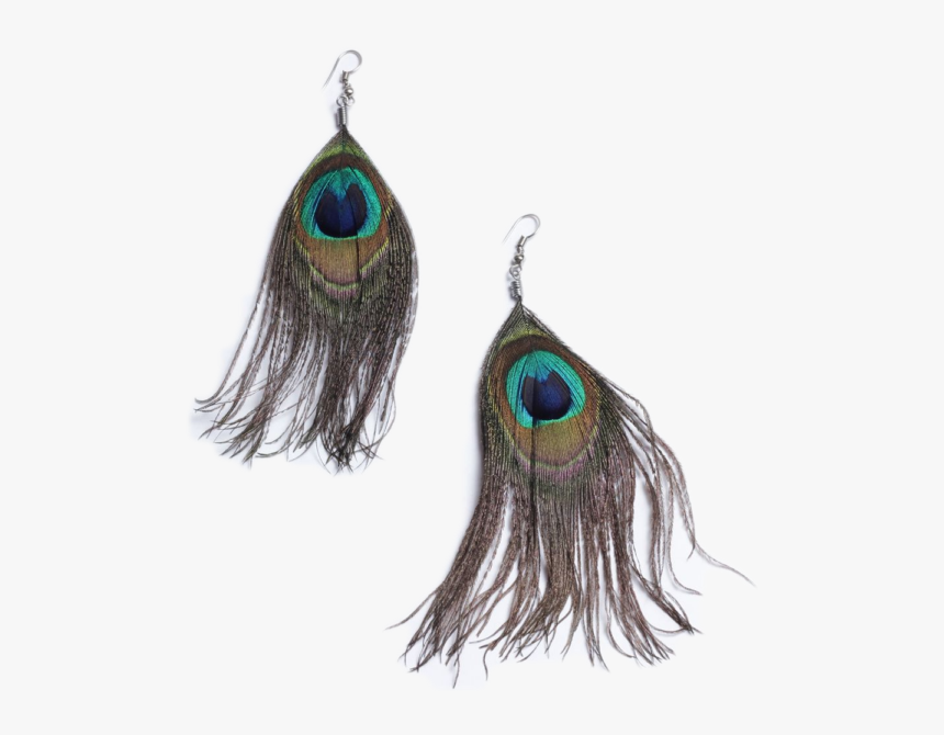 African Peacock Feather Hook Earrings - Feather Earring Transparent Background, HD Png Download