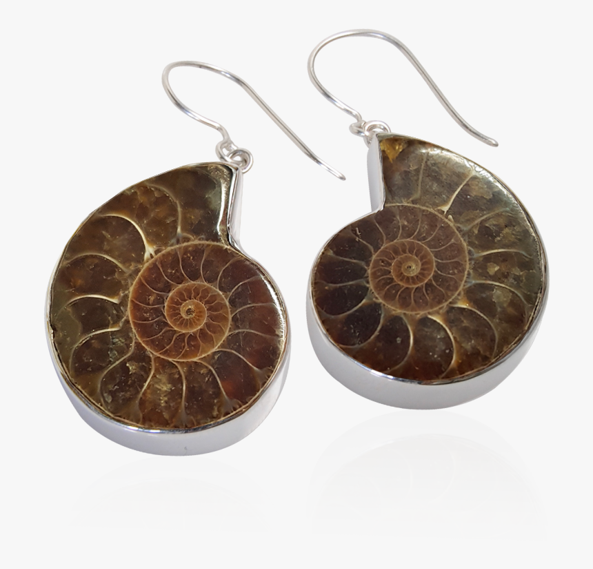 Earrings, HD Png Download