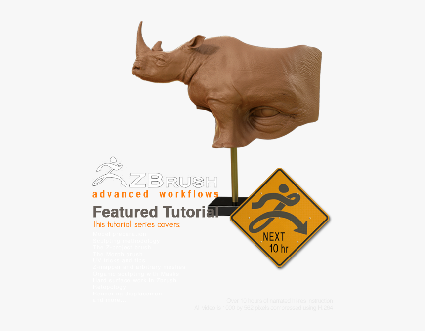 Black Rhinoceros, HD Png Download