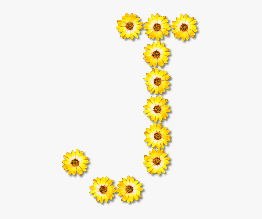 Sunflower Seed,plant,flower - Flower Alphabet Png, Transparent Png