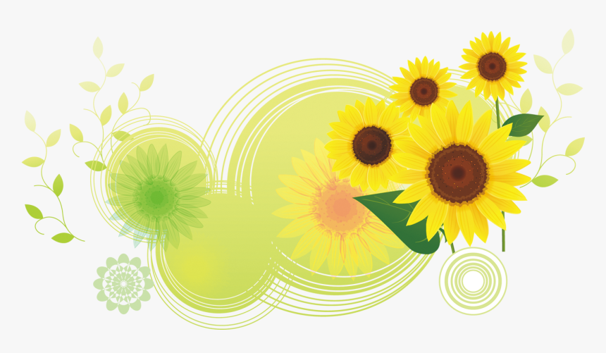 Download Common Sunflower Illustration - Bottom Flower Png, Transparent Png