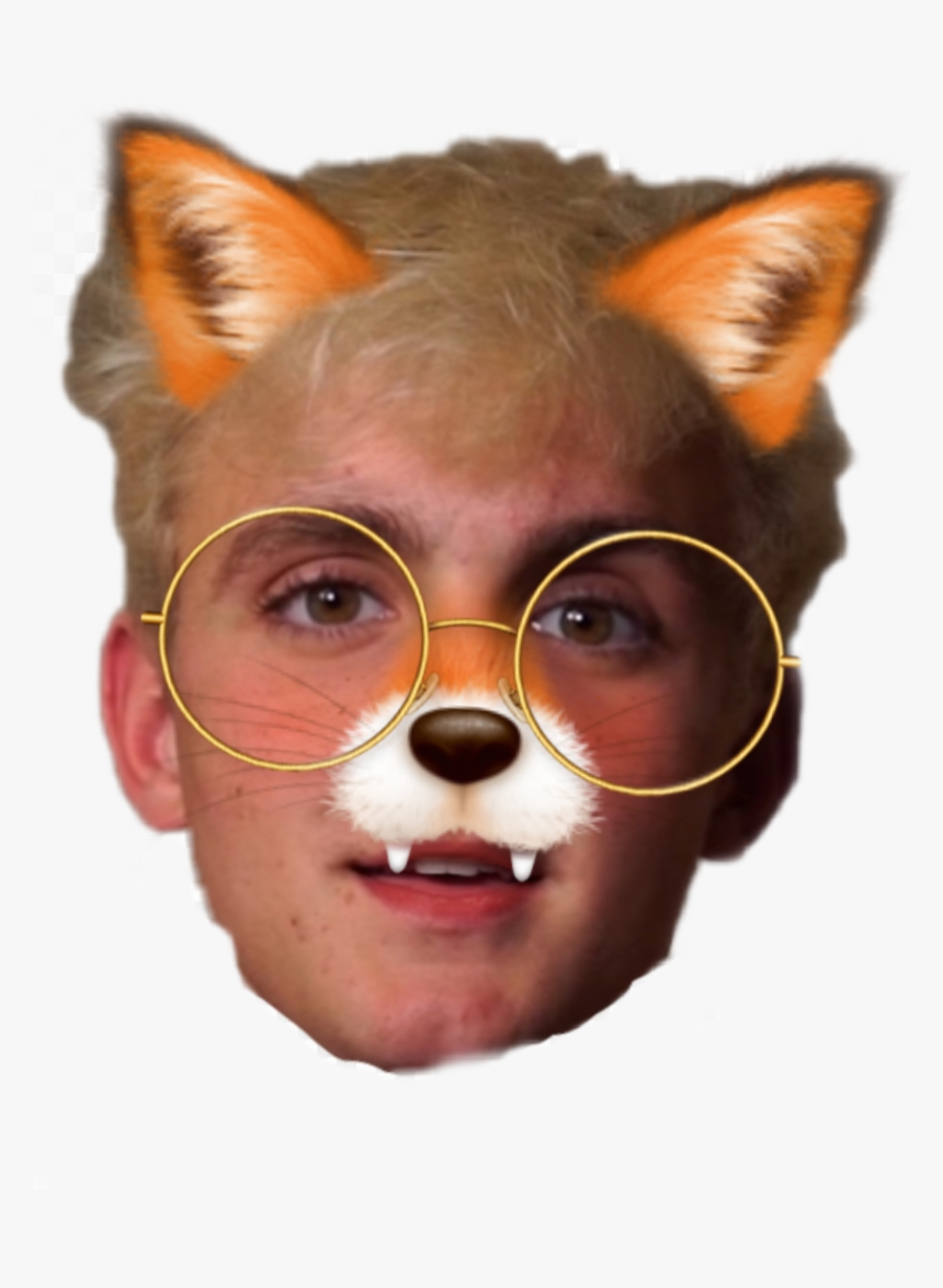 #jakepaulface #facejakepaul #jakepaul #jake #memejakepaul - Red Panda, HD Png Download