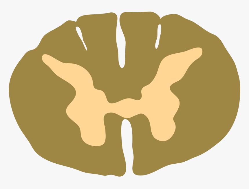 Sign, HD Png Download