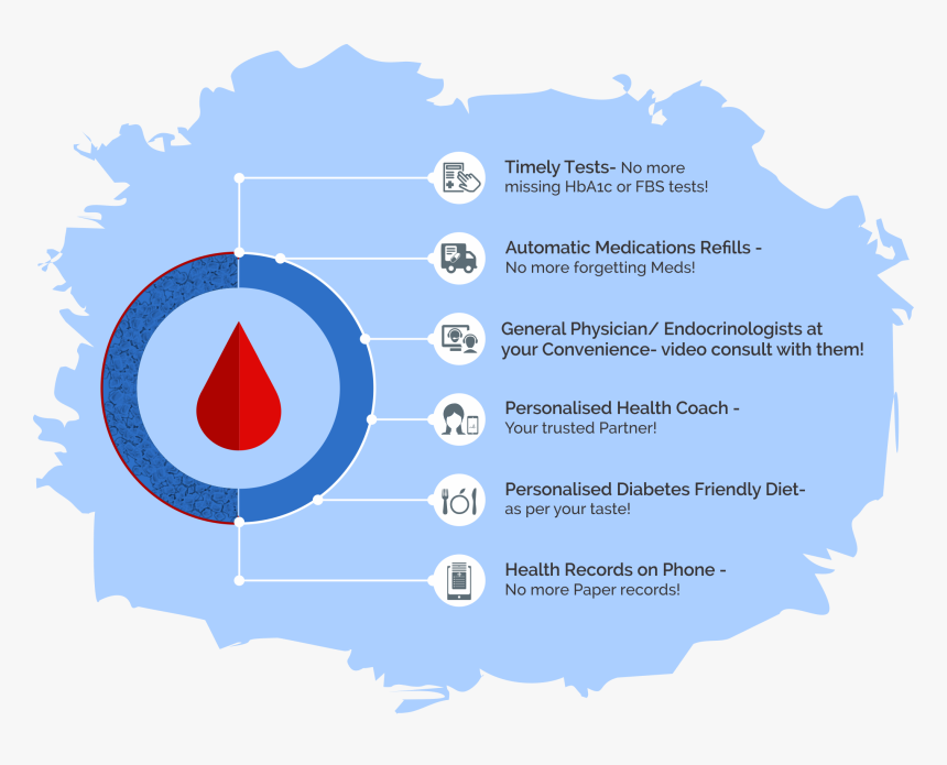 Diabetes Management - Circle, HD Png Download