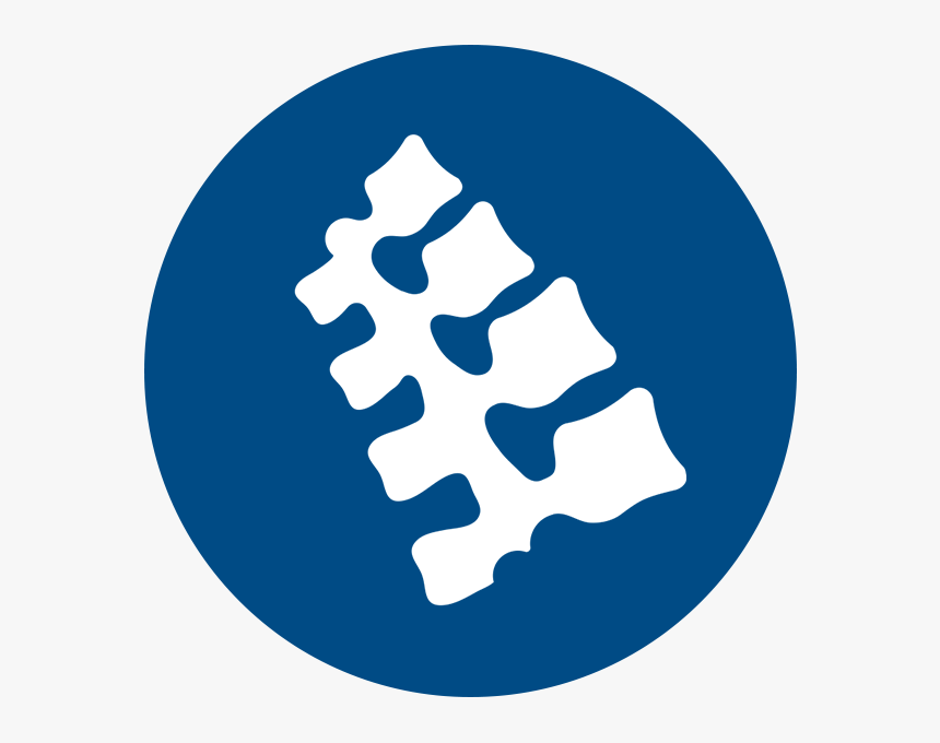 Spinal Cord Injury - Google Account, HD Png Download